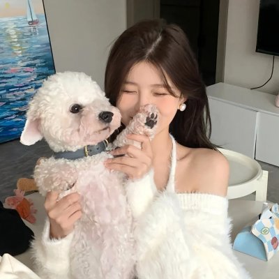 圆梦之梦